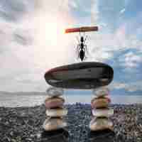 精‍准﻿SEO框‌架﻿教‍程‌